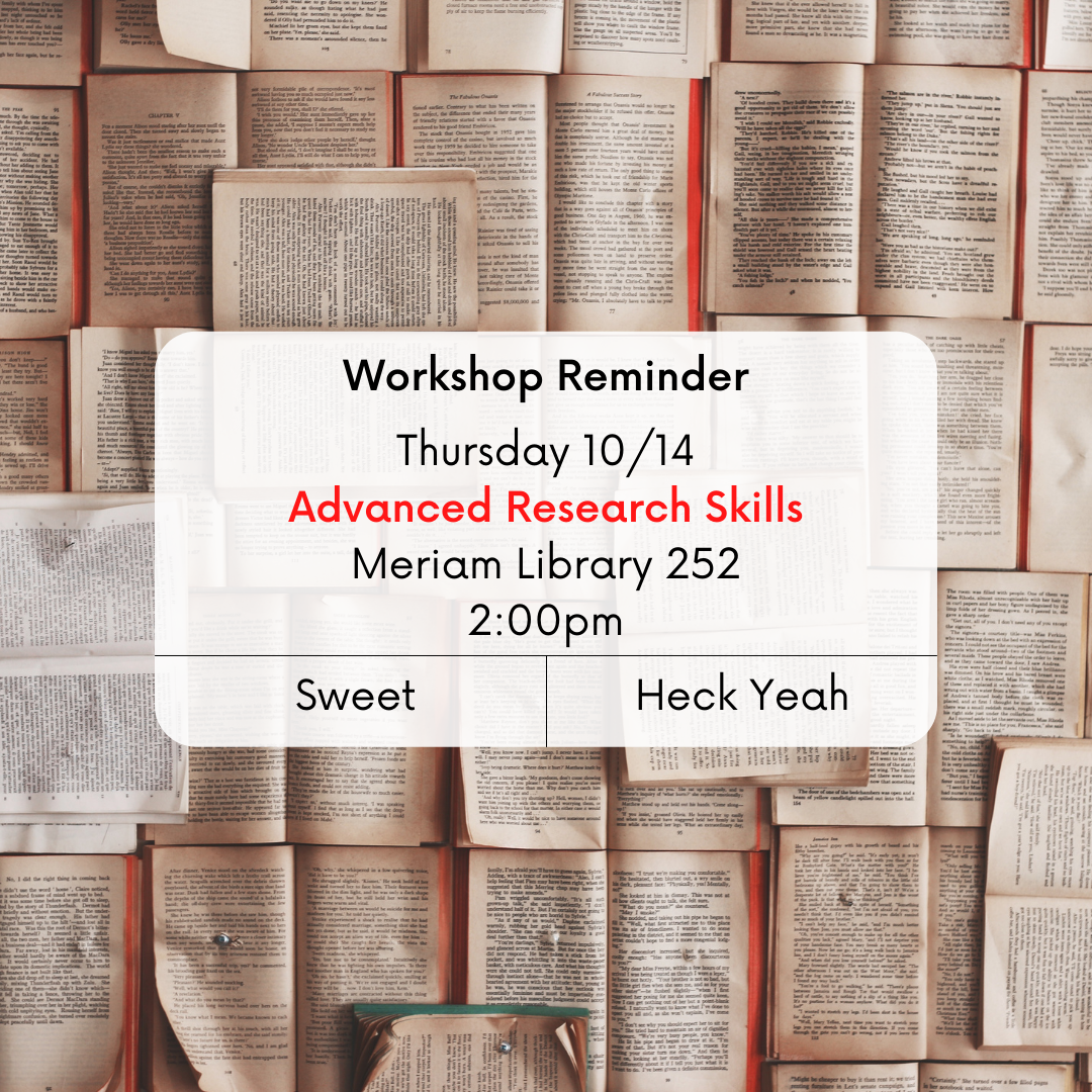 research skills workshop